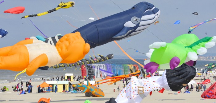 Rencontres Internationnales de Cerf-Volant de Berck
